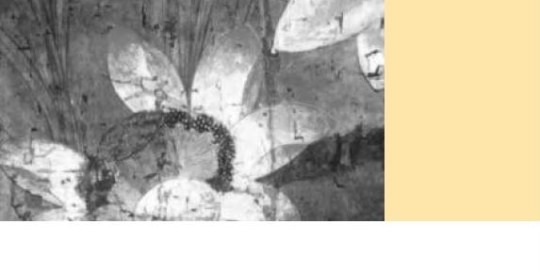 /documents/biodiversity/vnaid/EnvirAid1999-1_1.pdf