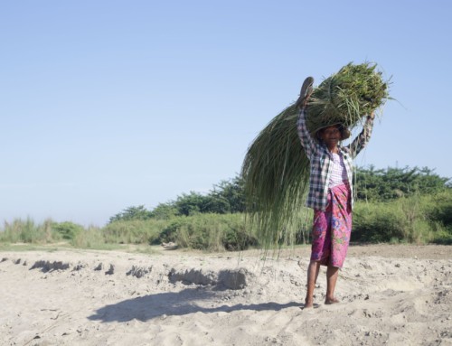 Progress in times of COVID-19: Virtual inception for flood forecasting project in Myanmar