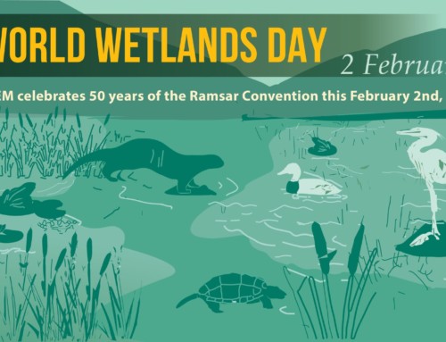 50 years of international cooperation for the protection of wetlands