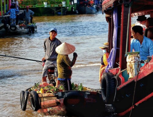 Building Resilience to Saline Intrusion in the Mekong Delta
