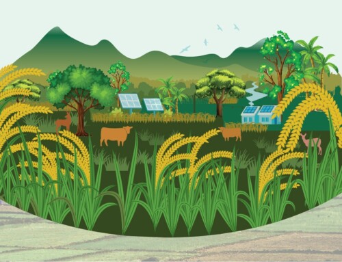 Connecting the divide between production and conservation in agricultural landscapes