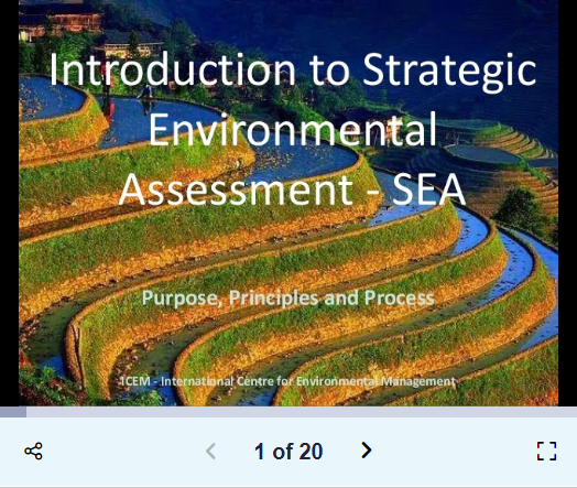 Introduction to Strategic Environmental Assessment