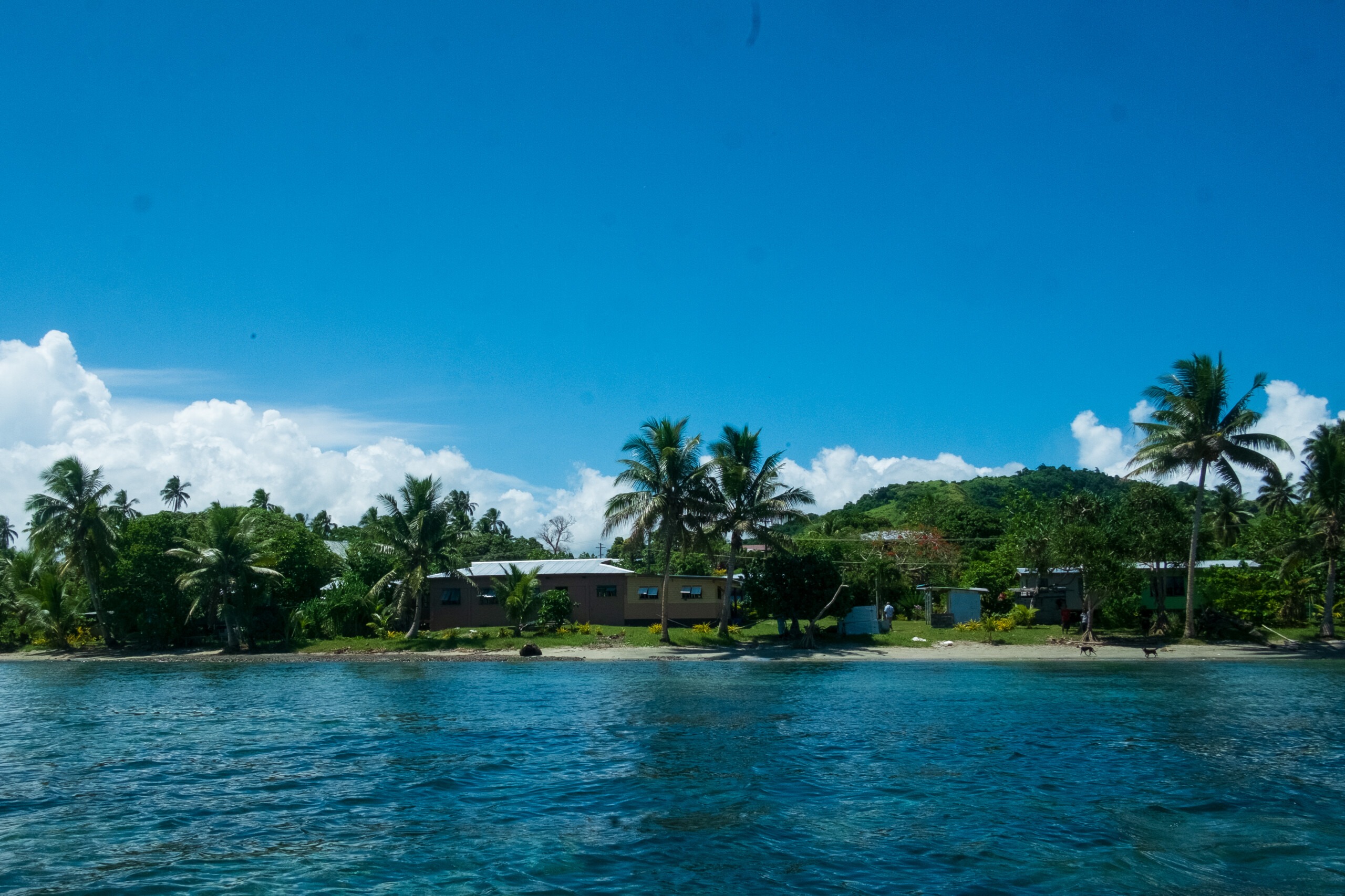 Enriching our understanding of conservation and sustainable tourism development needs and opportunities in Fiji