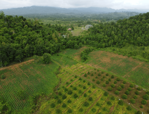 Forest and Agricultural Landscape Restoration in Cambodia and the Philippines