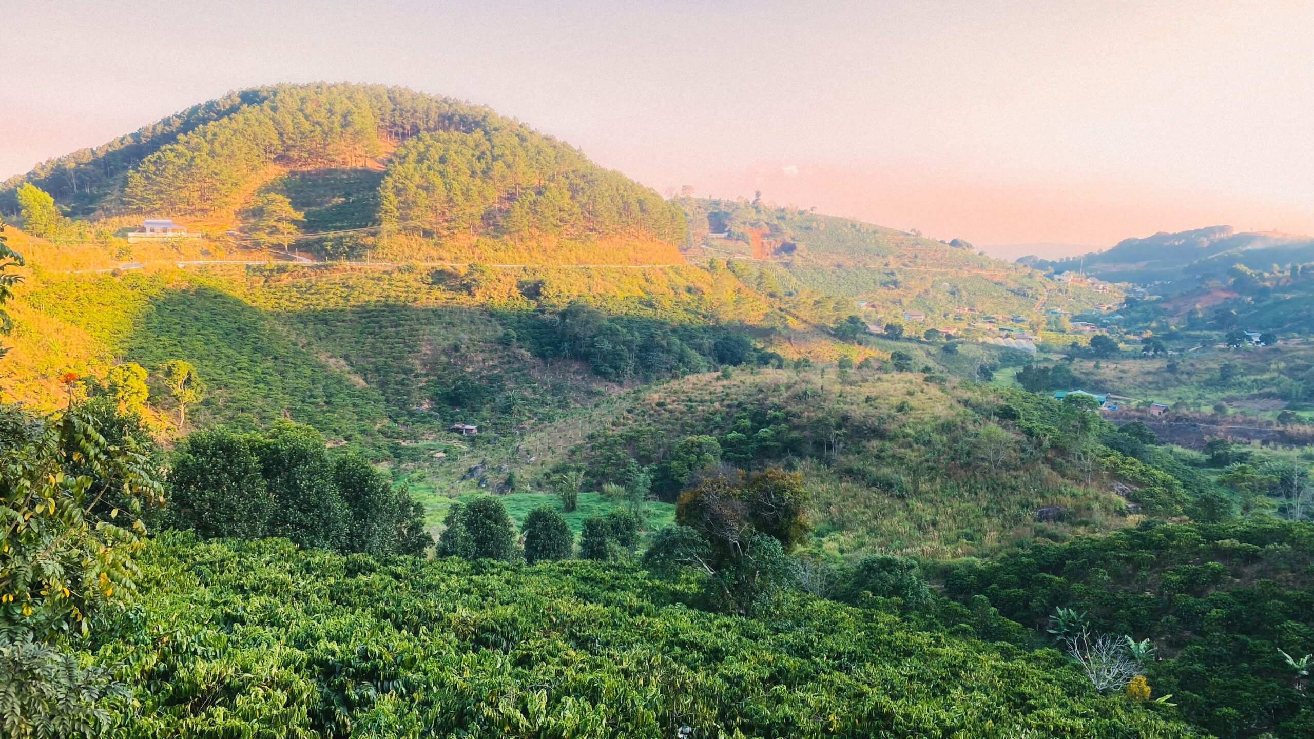 Physical Climate Risk Assessment and Improved Climate Resilience of Coffee Production Supply Chains in the Central Highlands of Vietnam