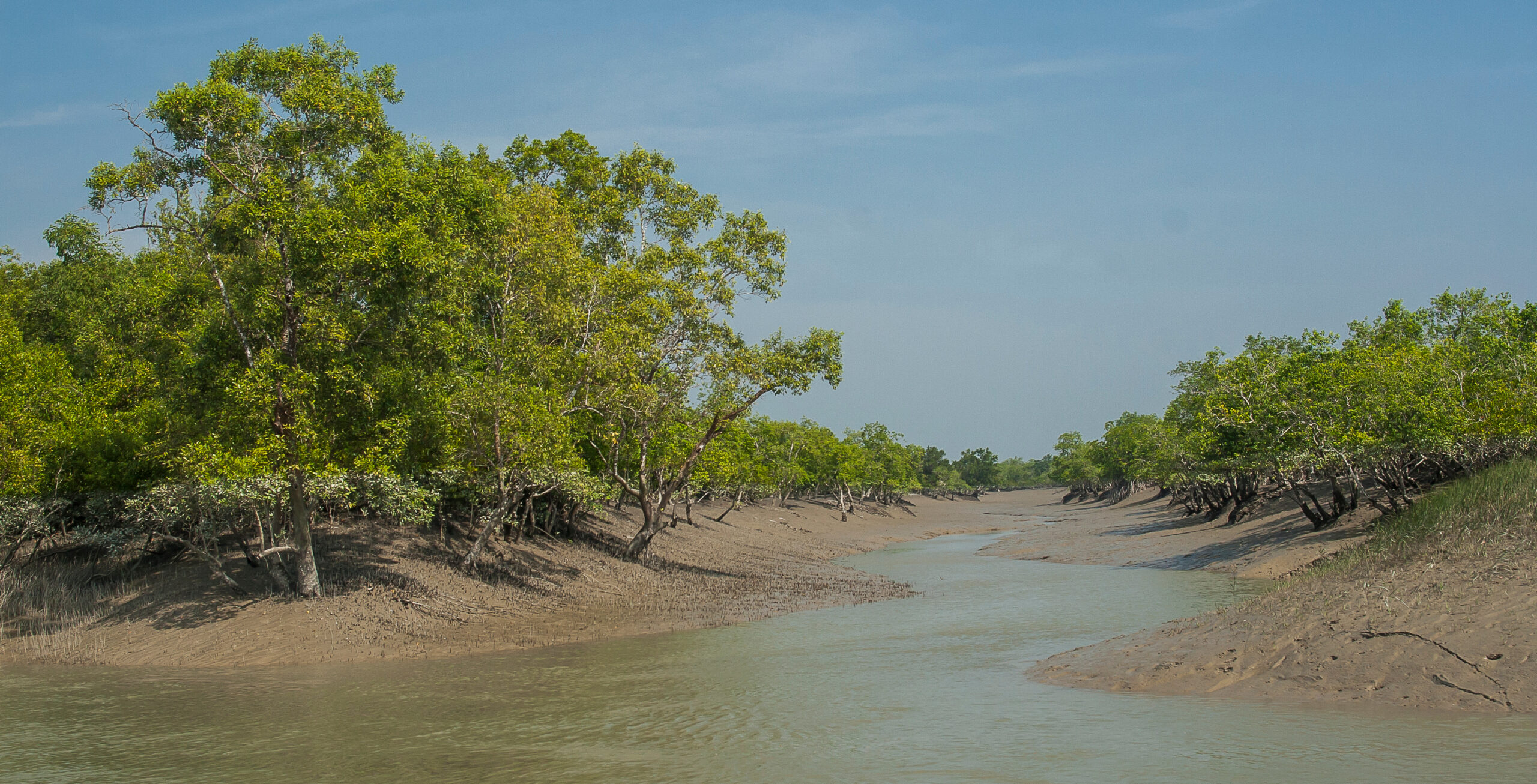 Analysis of Investment Opportunities to Strengthen Coastal Resilience in the Bangladesh Sundarbans