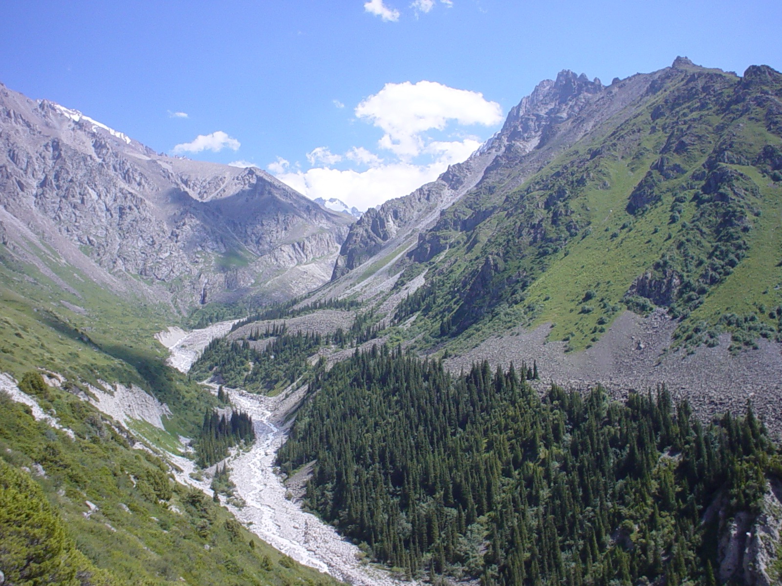 Assessment of green, gray and hybrid solutions for mudflow risk mitigation in the Kara Darya River Basin, the Kyrgyz Republic