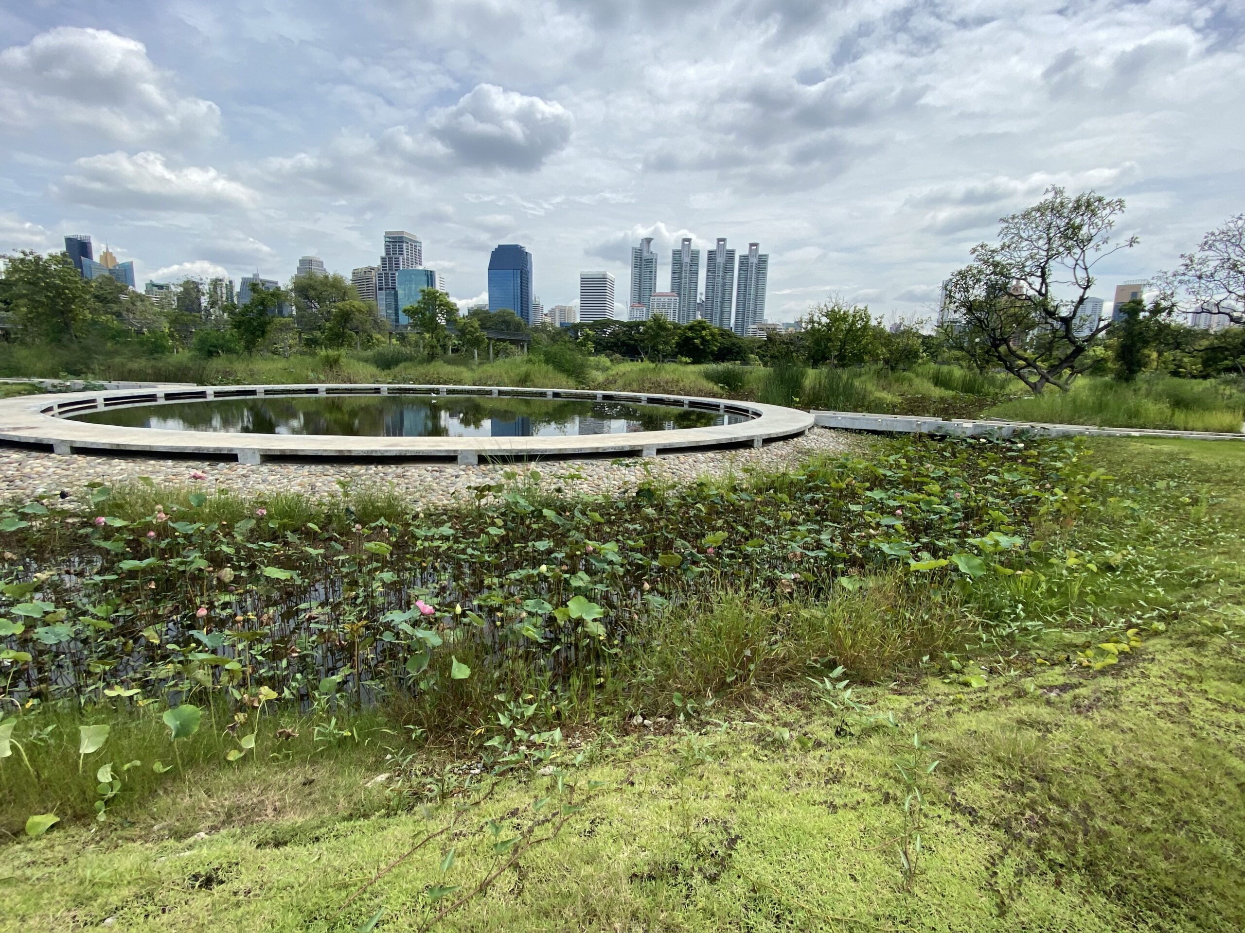 Resilient Urban Centres and Surrounds (RUCaS)