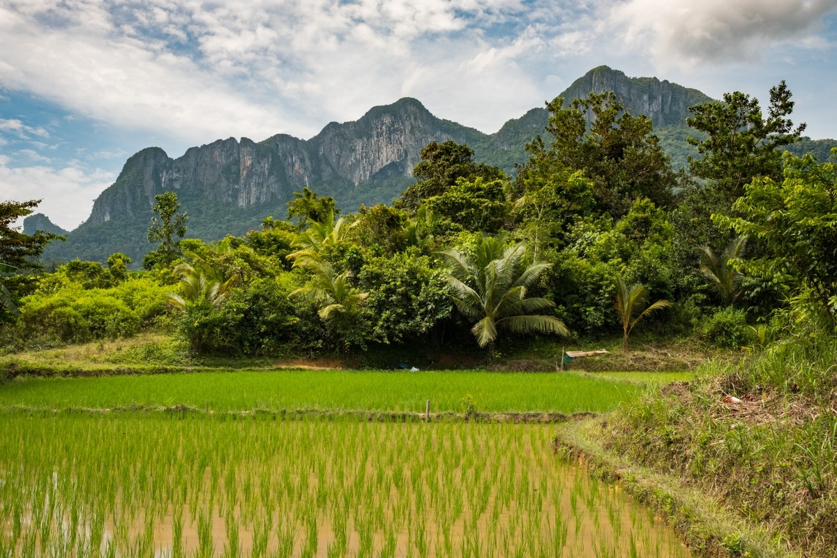 Accelerating Climate Resilience in Agriculture, Natural Resources and the Environment
