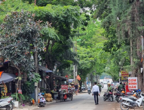 Biodiversity – An Urban Necessity