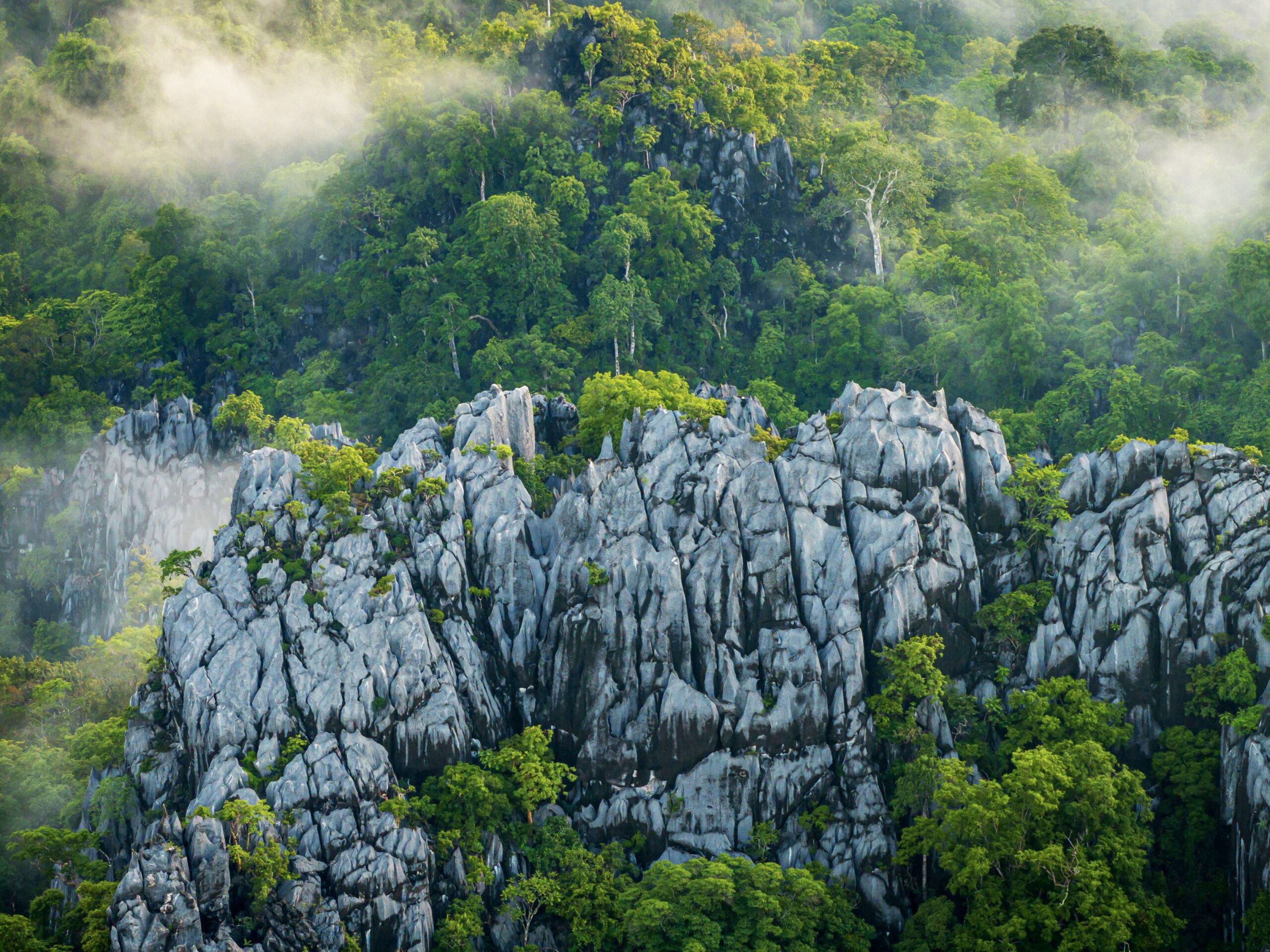 Inclusive Biodiversity Conservation and Livelihood Improvement Underway in Lao PDR under the Mekong PAD III Program