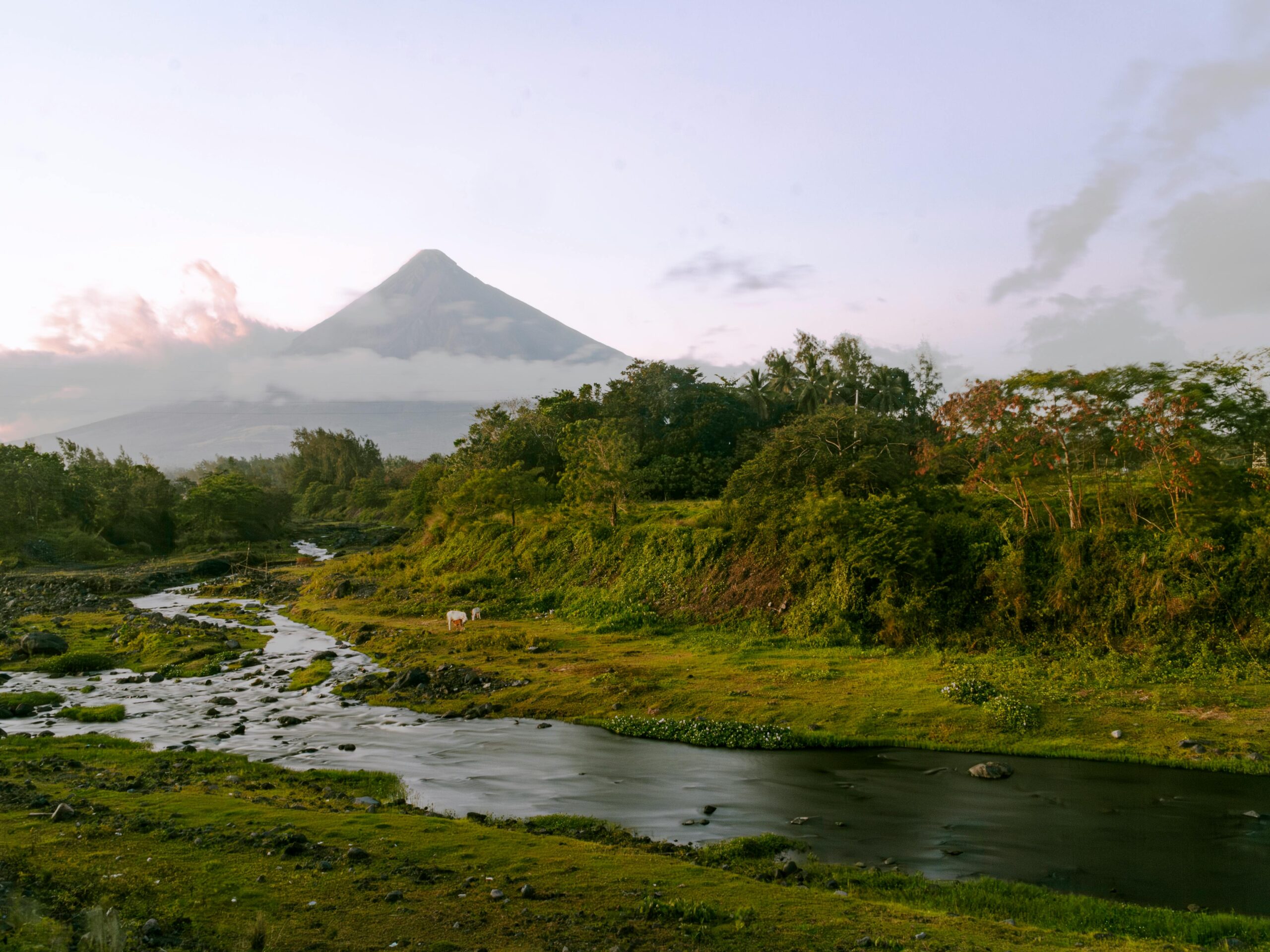 Making the Case for Nature-Based Solutions and Green-Grey Integration across Four Priority River Basins
