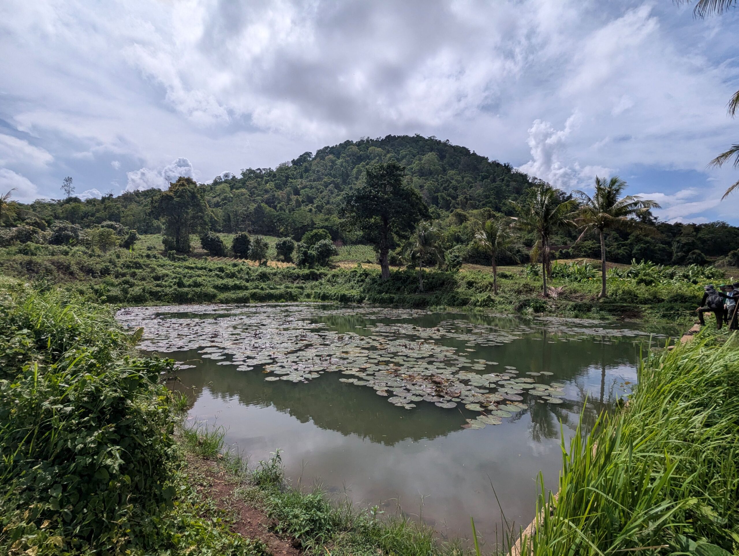 A Field Mission to Phum Kandal Community Forestry